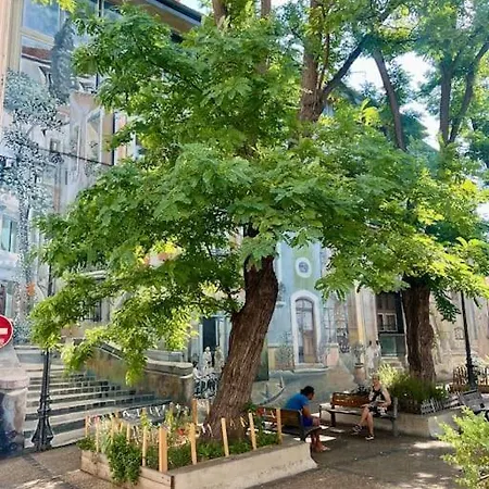 Soho - Le Corner *